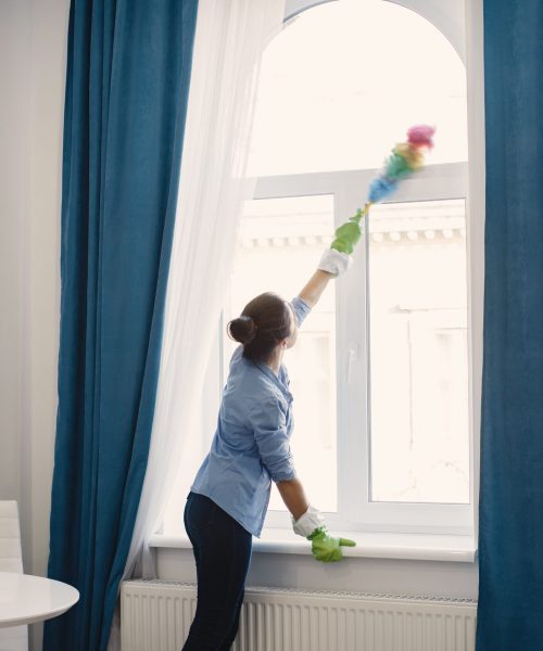 Housewife woking at home. Lady in a blue shirt.